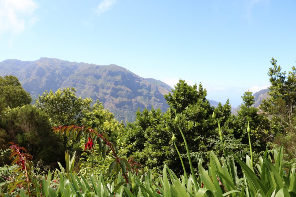TMT_Travel_Guide_Madeira_Wanderung_2_Bild_2