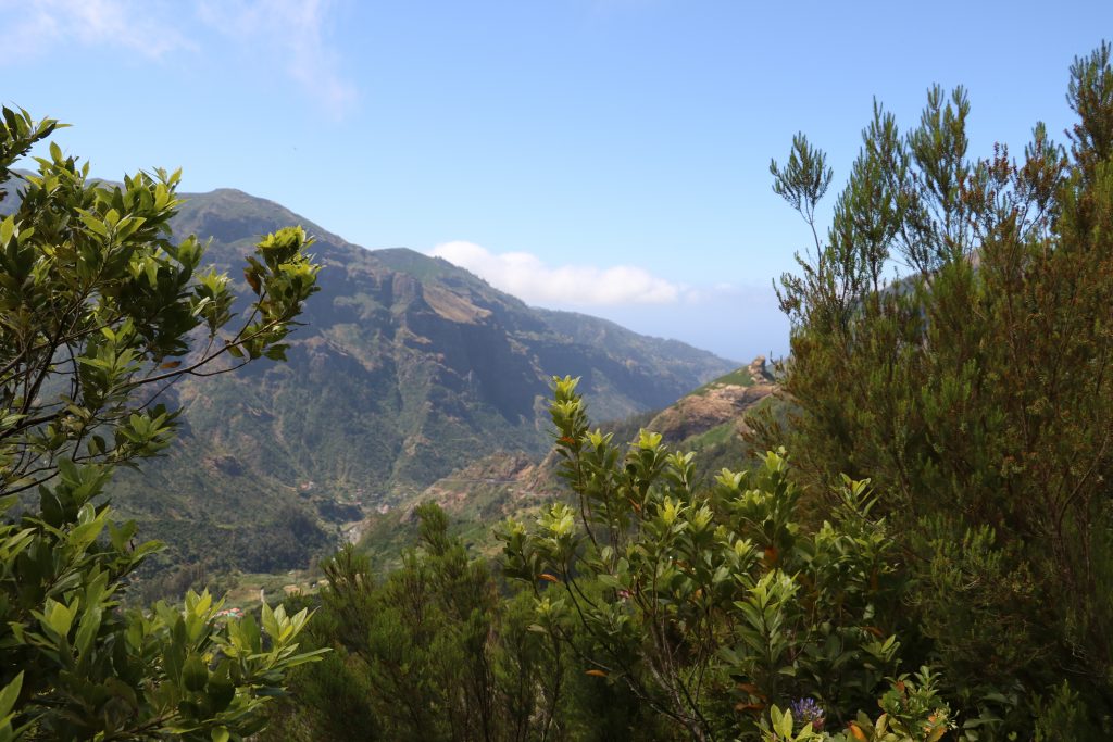 TMT_Travel_Guide_Madeira_Wanderung_2_Bild_4