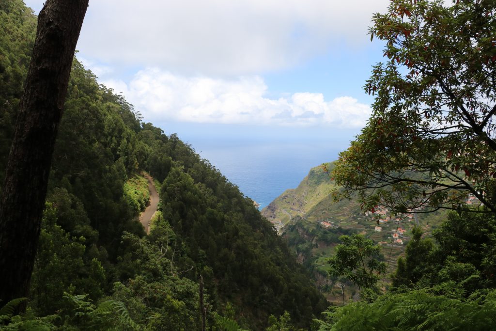 TMT_Travel_Guide_Madeira_Wanderung_3_Bild_1