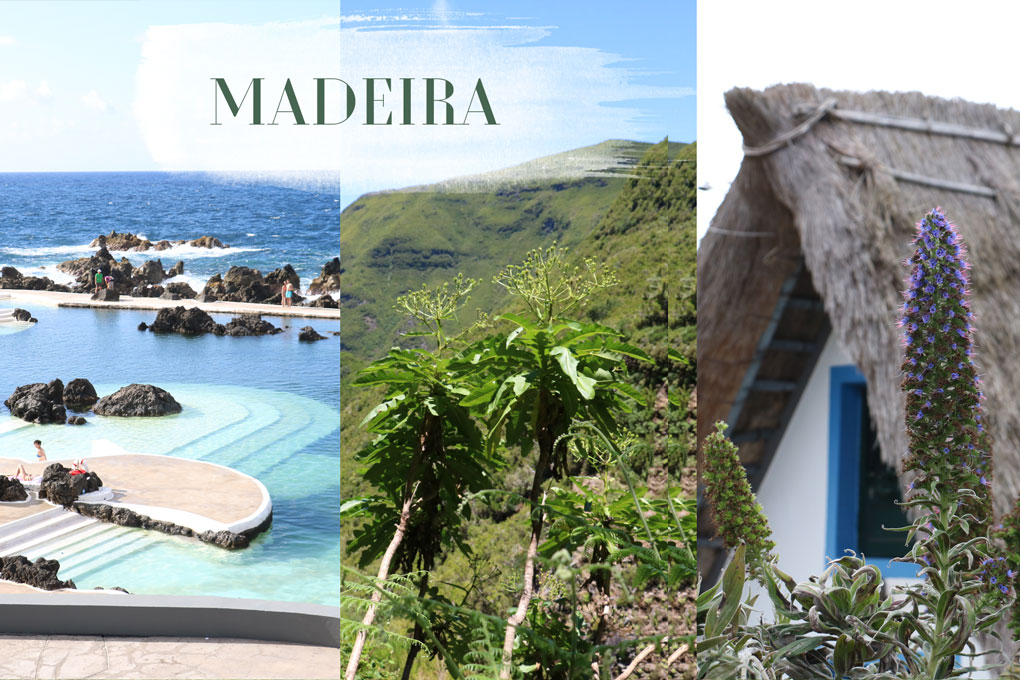 TMT_Travel_Guide_Madeira